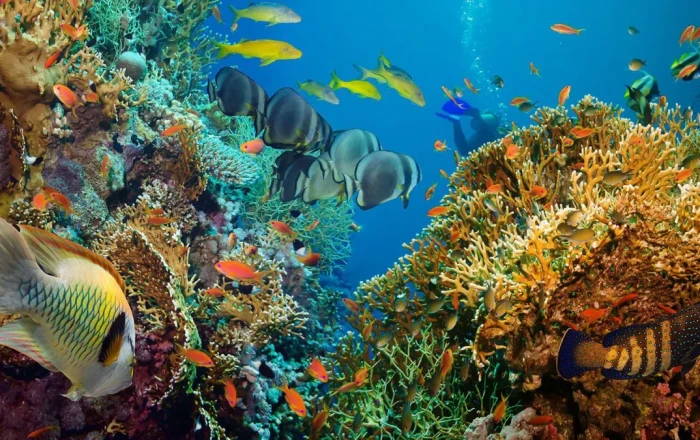 Africa splitting: Scientists confirm birth of Earth’s sixth ocean
