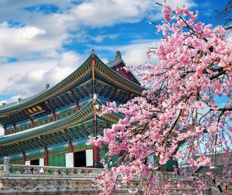 South Korea introduces curfews, limits on tourist buses to preserve Bukchon Hanok village