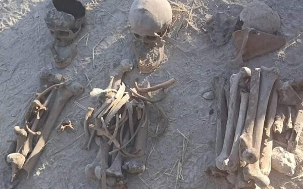 Humanlike bone fragments found in Gubadli