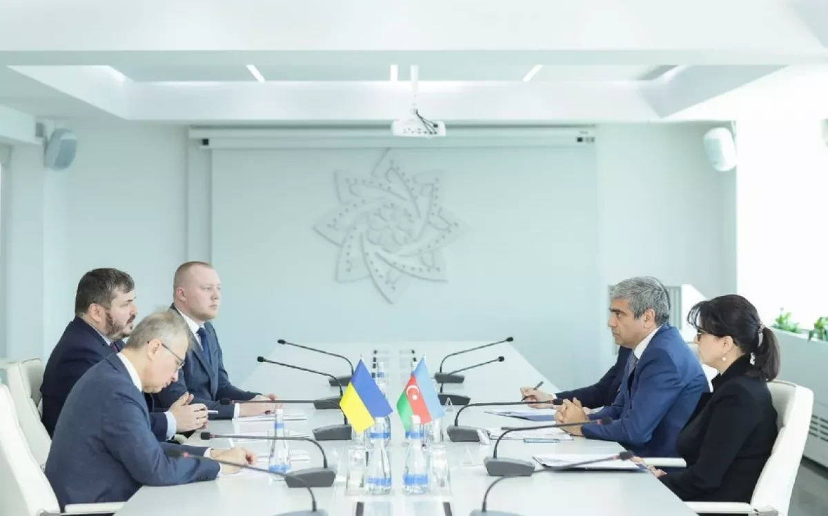 Baku, Kyiv discuss cooperation in social protection