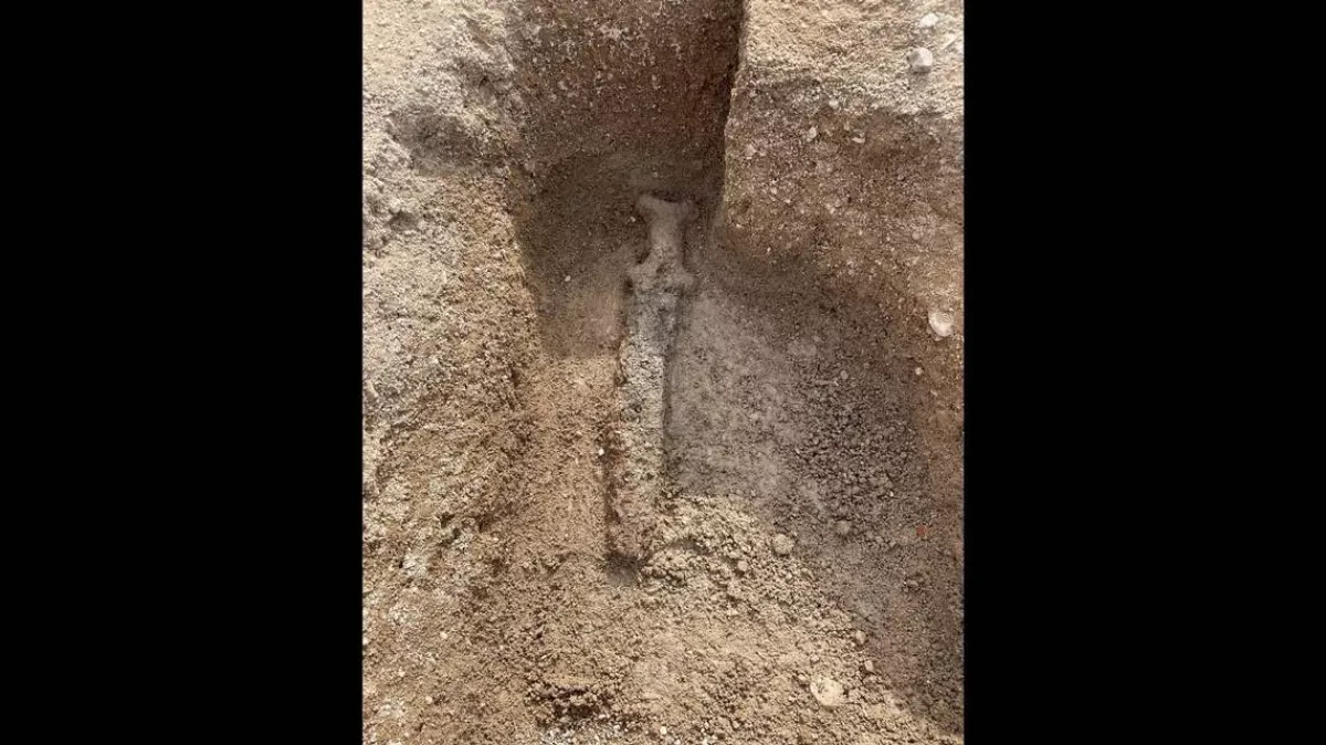 Ancient Celtic artifacts unveiled in France after business park dig