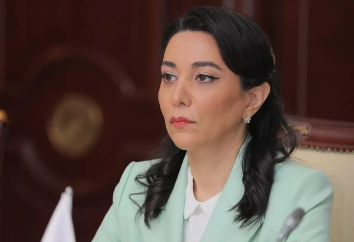 Ombudsman protests Amnesty International's distorted report on human rights situation in Azerbaijan