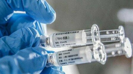France confirms 1st hantavirus case