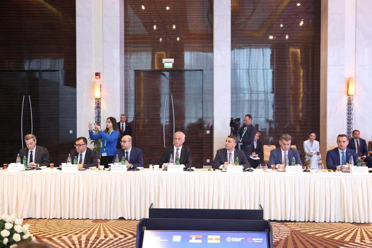 Serbian President meets with Azerbaijani business representatives (PHOTO)
