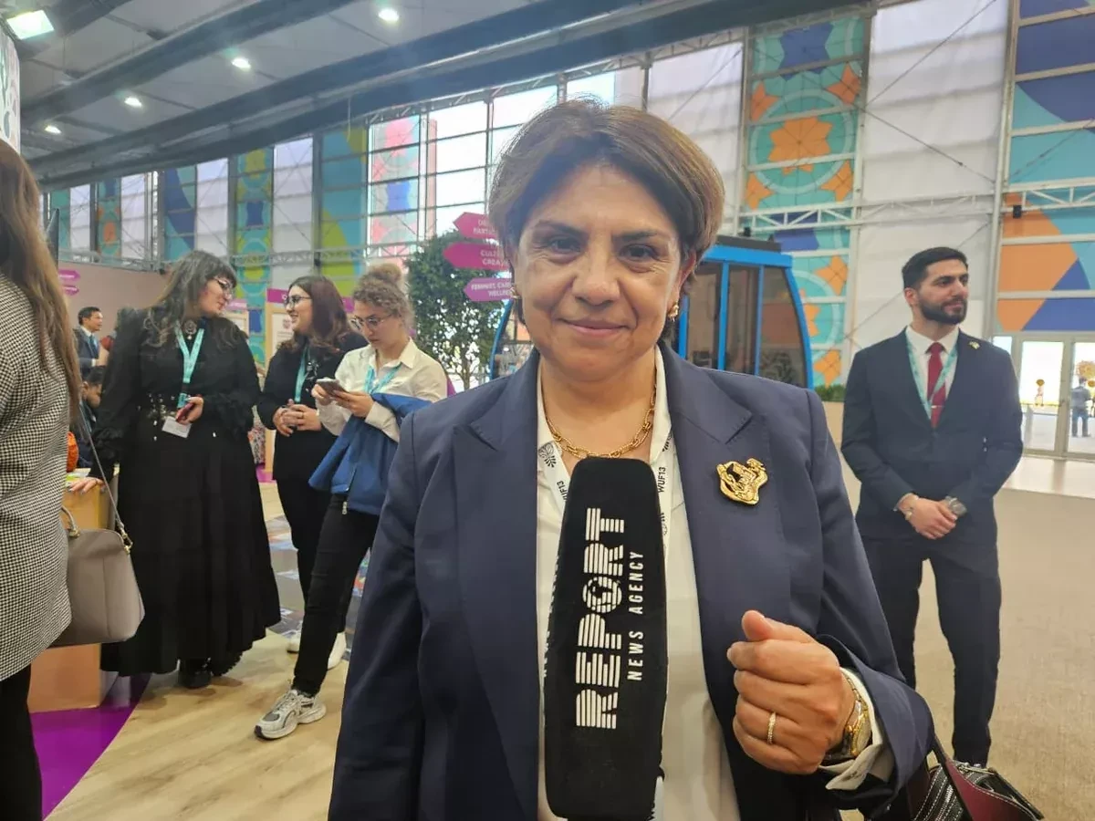 Mexico, Azerbaijan eye cooperation in urban services, social policy