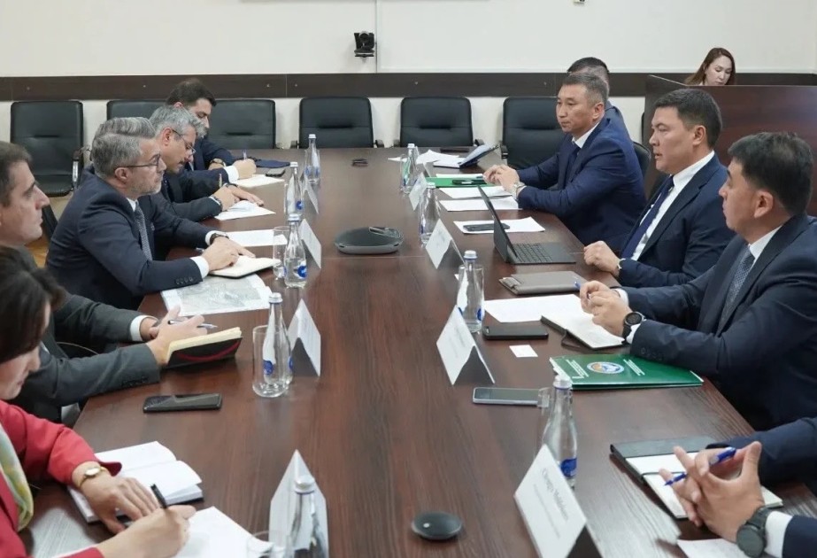 Kyrgyzstan, Turkiye discuss cooperation in mining