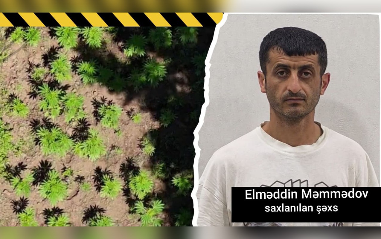 Hirkan Milli Parkında narkoplantasiya qurmuşdu - Polis saxladı-Video
