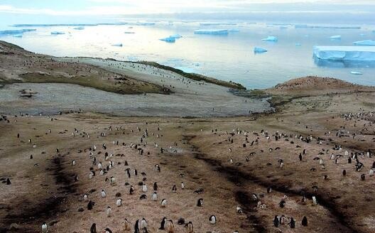 Antarctic ice loss the size of France alarms scientists
