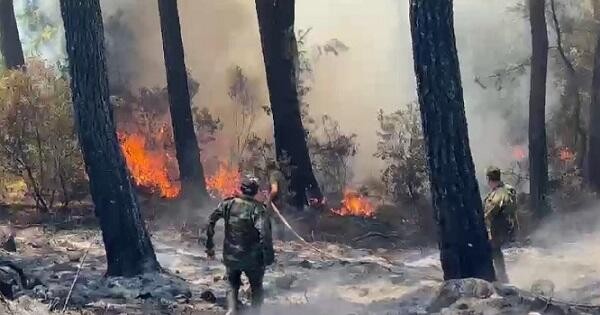 Wildfires break out in three areas of Turkiye