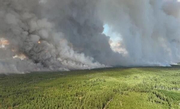 Turkiye identifies 43 suspects in forest fire cases