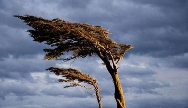 Azerbaijan to see dry weather and winds tomorrow