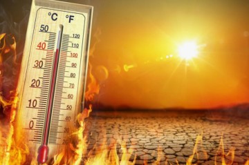 Прошлогоднее лето стало самым жарким за последние 2 000 лет