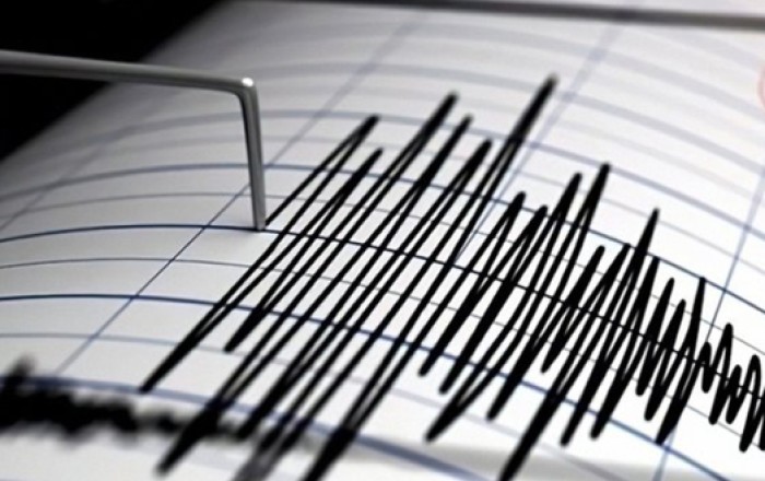 В Турции сильное землетрясение