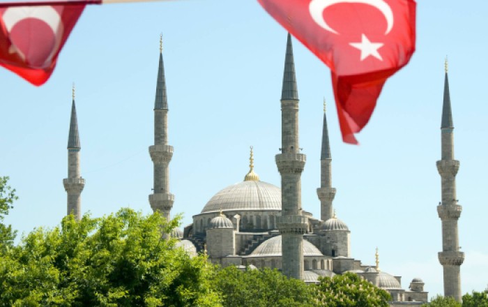 Тысячи жителей Турции получили травмы при жертвоприношении