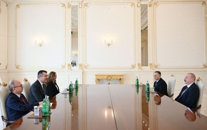 Президент Азербайджана принял генерального секретаря Совета нацбезопасности Турции