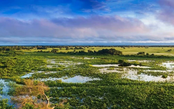 The hidden role of Wetlands in methane emissions and global warming