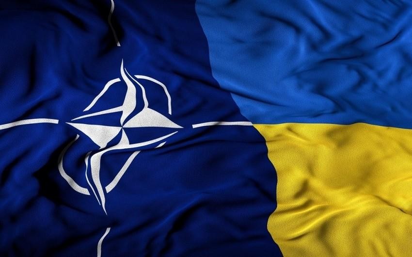 NATO və Ukrayna innovasiyalar üzrə dialoqa başlayıb<span class="qirmizi"></span>