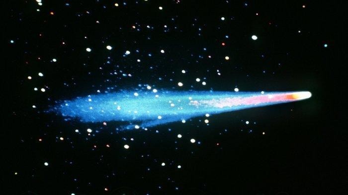 Azərbaycanda 100 min manata kometa satılır - <span class="qirmizi">FOTO</span>