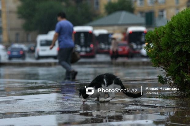 В Баку ожидается усиление ветра и дождя - ПРЕДУПРЕЖДЕНИЕ
