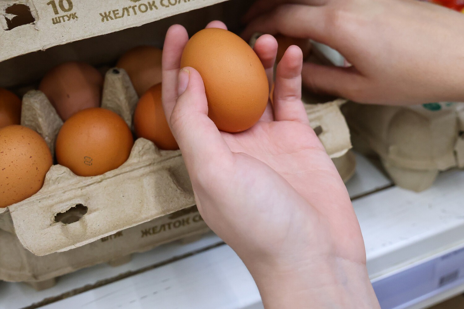 В текущем году Азербайджан отправил в Россию 47,7 млн яиц