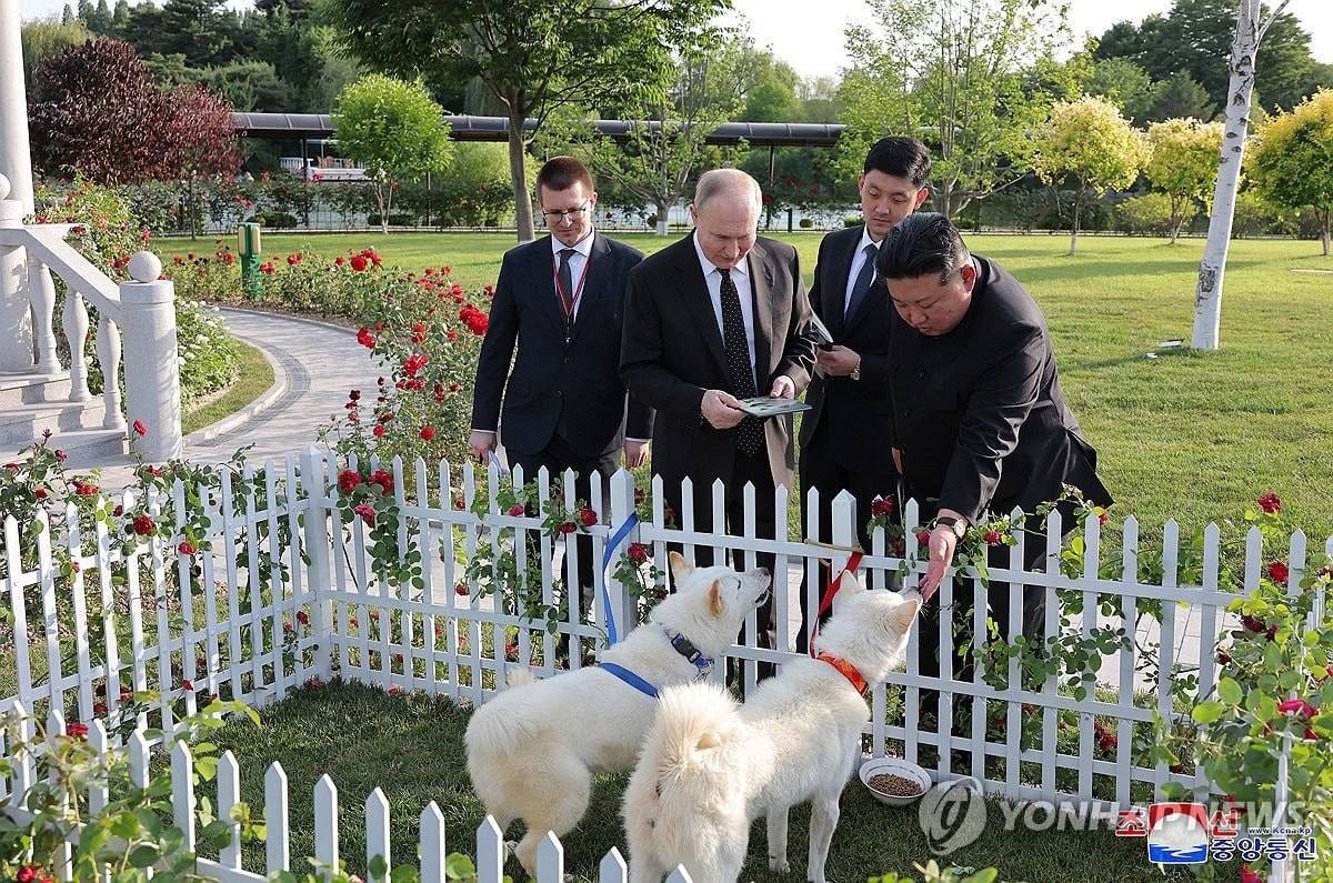 Ким Чен Ын подарил Путину собак и вручил орден