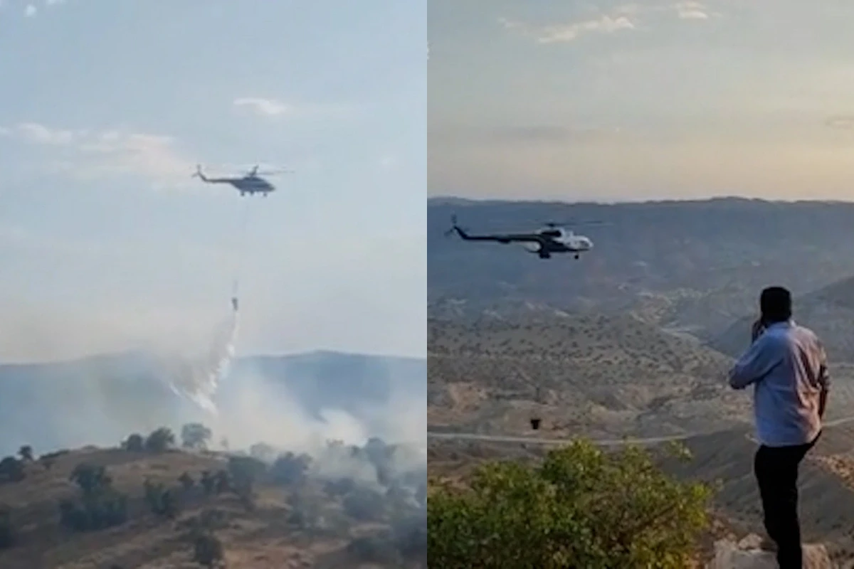 İranda güclü meşə yanğınları davam edir