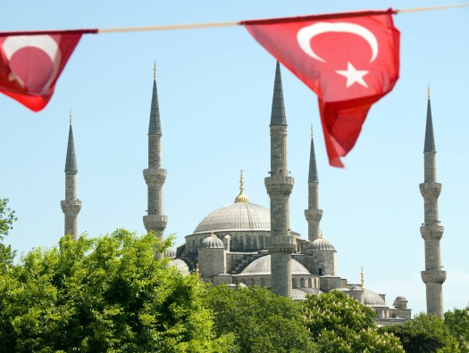 Тысячи жителей Турции получили травмы при жертвоприношении