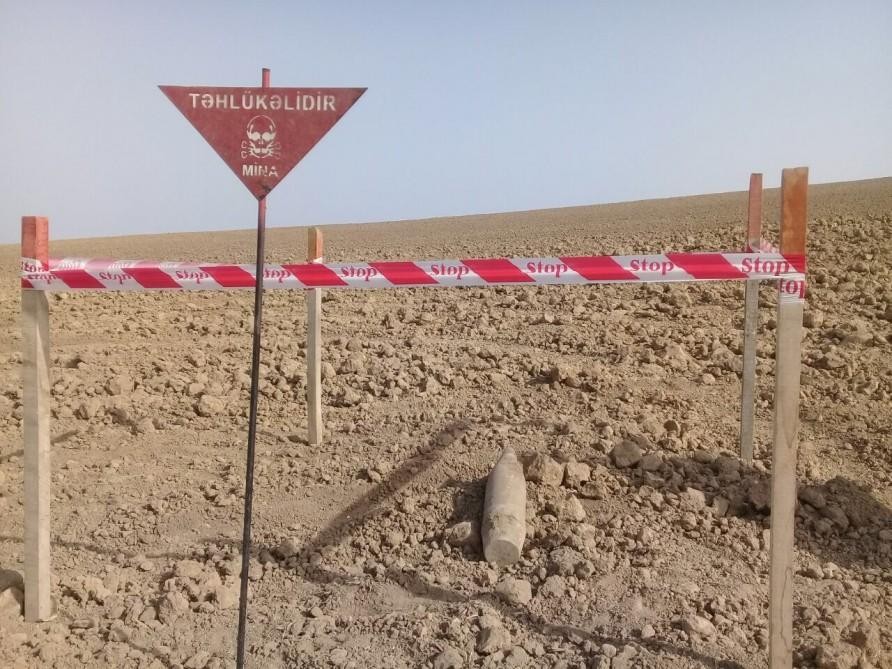 В ANAMA обратились к гражданам