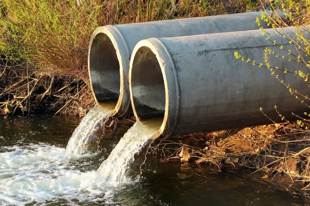 Scientists develop "smart sponge" capable of absorbing pollutants from contaminated waterways