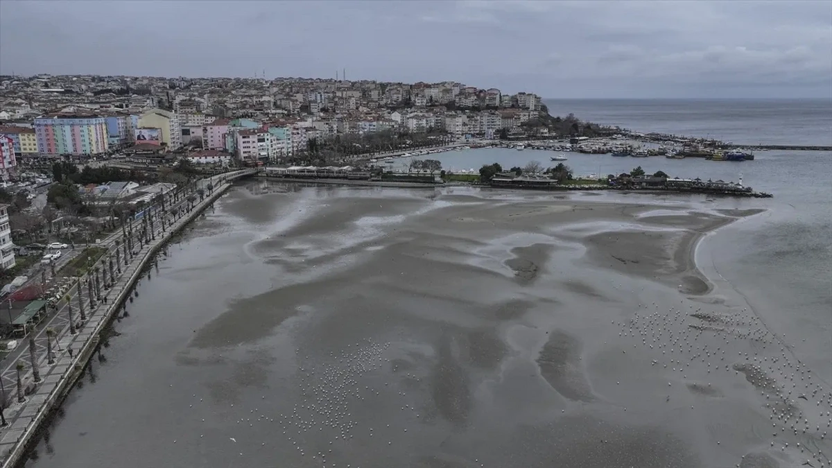 Жители Стамбула встревожены: морская вода отступила