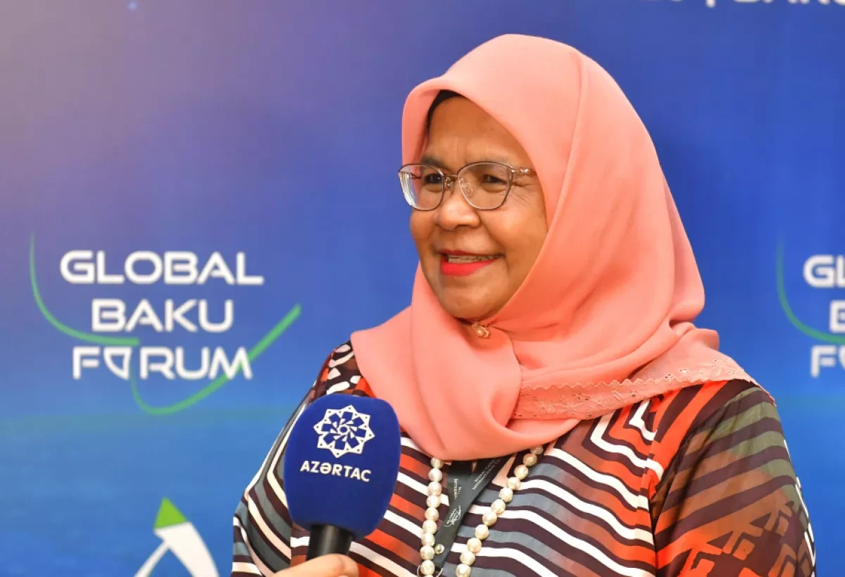 Malaysian official highlights need for implementing COP29 agreements