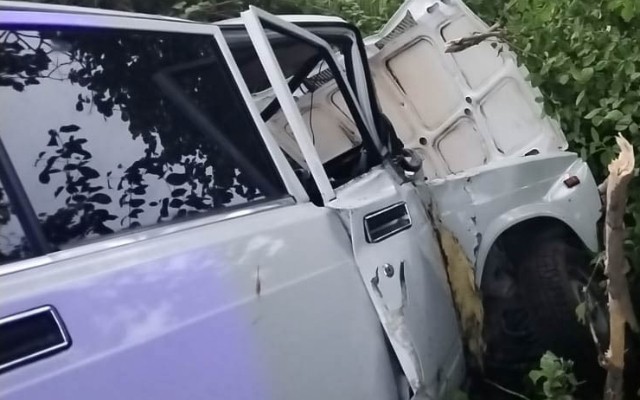 Oğuzda maşın ağaca çırpılıb, xəsarət alanlar var