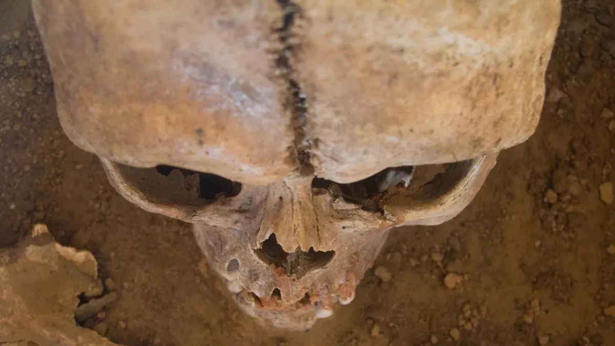 Archaeologists uncover ancient skeletons at former Debenhams site in UK