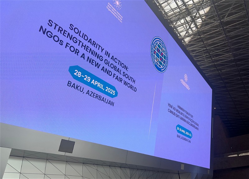 Сегодня в Баку состоится учредительная конференция Платформы НПО Глобального Юга