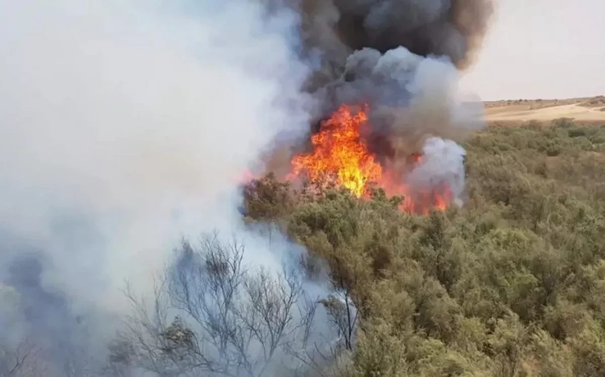 Massive wildfire engulfs Jerusalem Hills, Israel declares maximum alert VIDEO