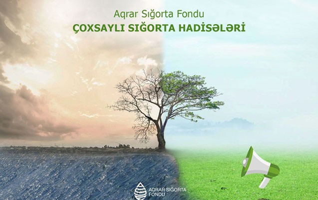 Hava şəraiti fermerlərə də ziyan vurub - 76 müraciət var