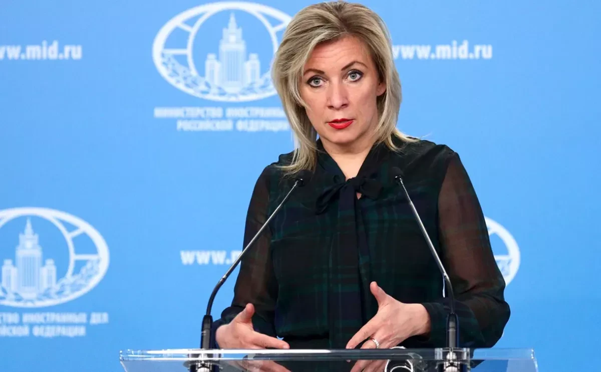 Russian official advises Georgia to consider EU’s stability before joining