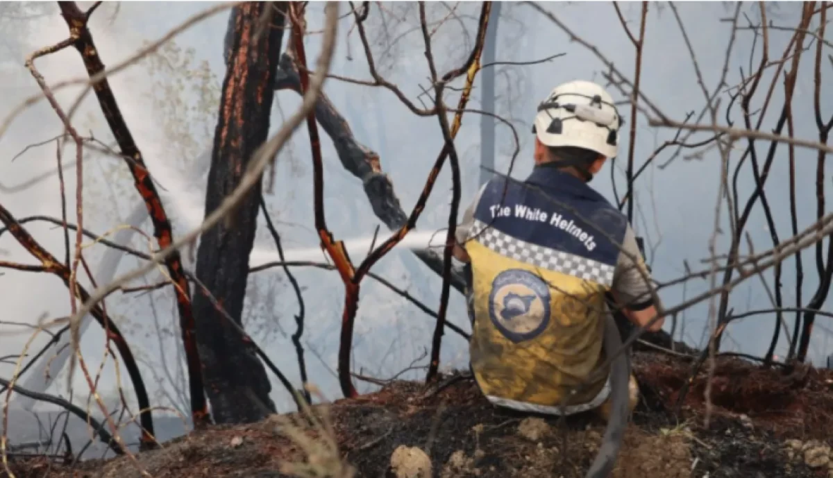 Firefighting efforts intensify as wildfires rage for sixth day in Syria's Latakia