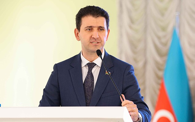 “Saxta yollarla tələbə adını alan şəxslərə asanlıqla viza verilir”