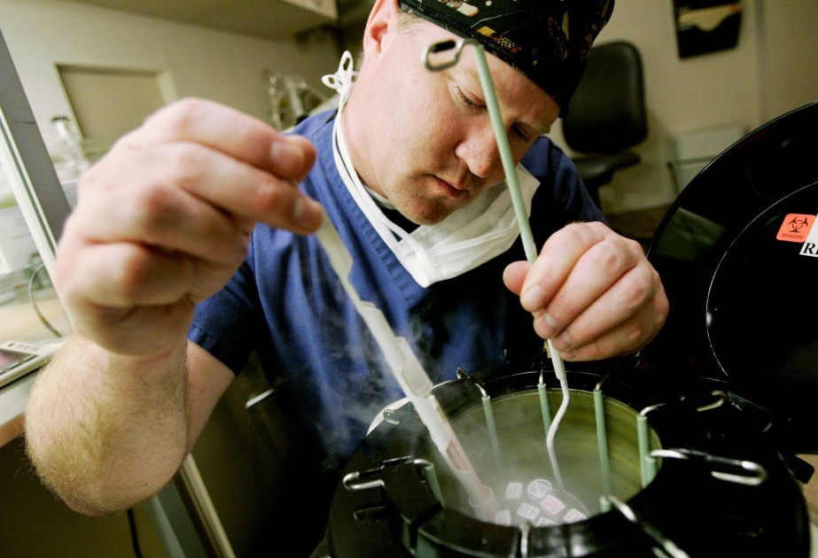 Scientists film the heart forming in 3D earlier than ever before