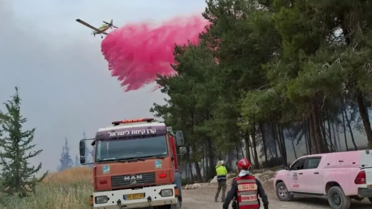 Israeli wildfires not contained, emergency measures intensify