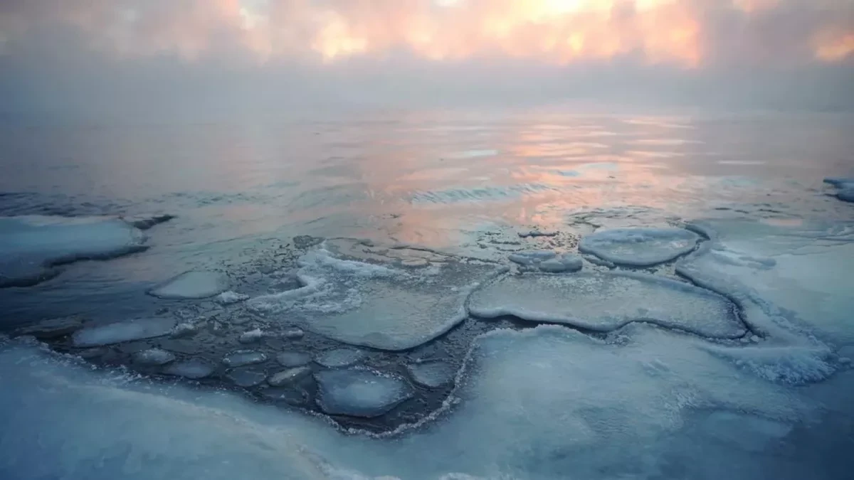 Antarctica gains ice sheet for first time in decades, reversing dangerous trend of mass loss