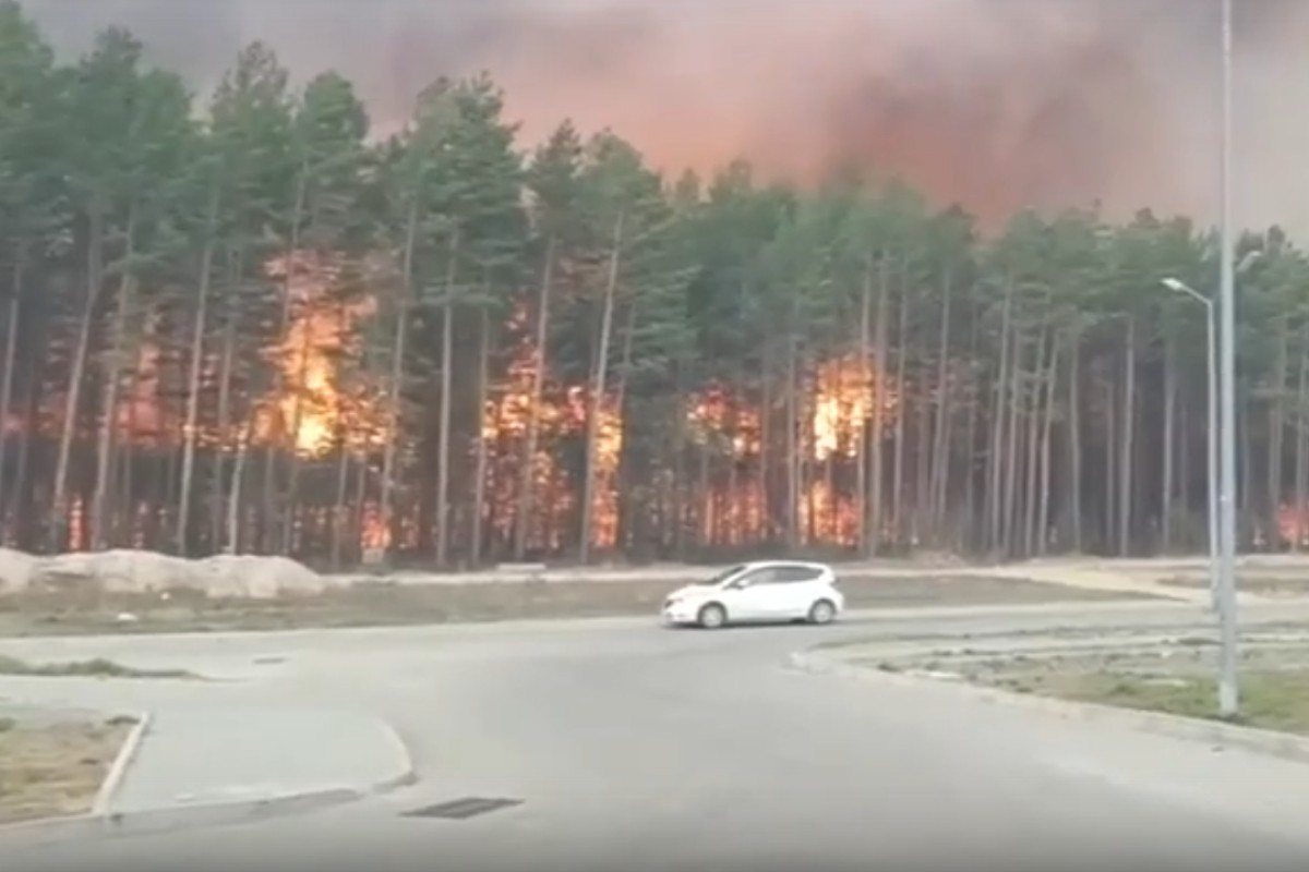 Сильные лесные пожары в России. Огонь подошел к жилым домам видео