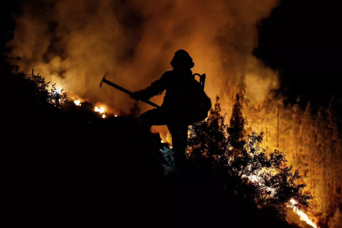Over 50,000 relocated following forest fires in Türkiye