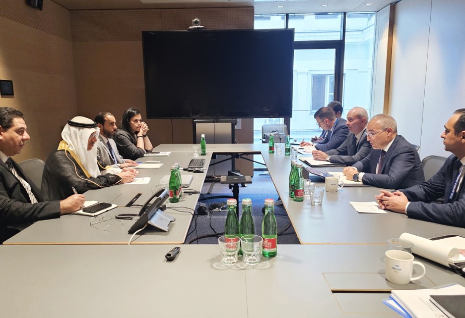 Azerbaijan’s Economy Minister visits OPEC Fund Development Forum in Austria