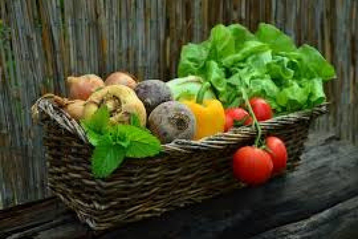 Виновато глобальное потепление: цены на продукты питания будут расти