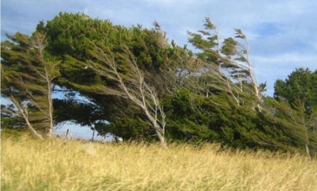 Windy, rainy weather to continue until July 7
