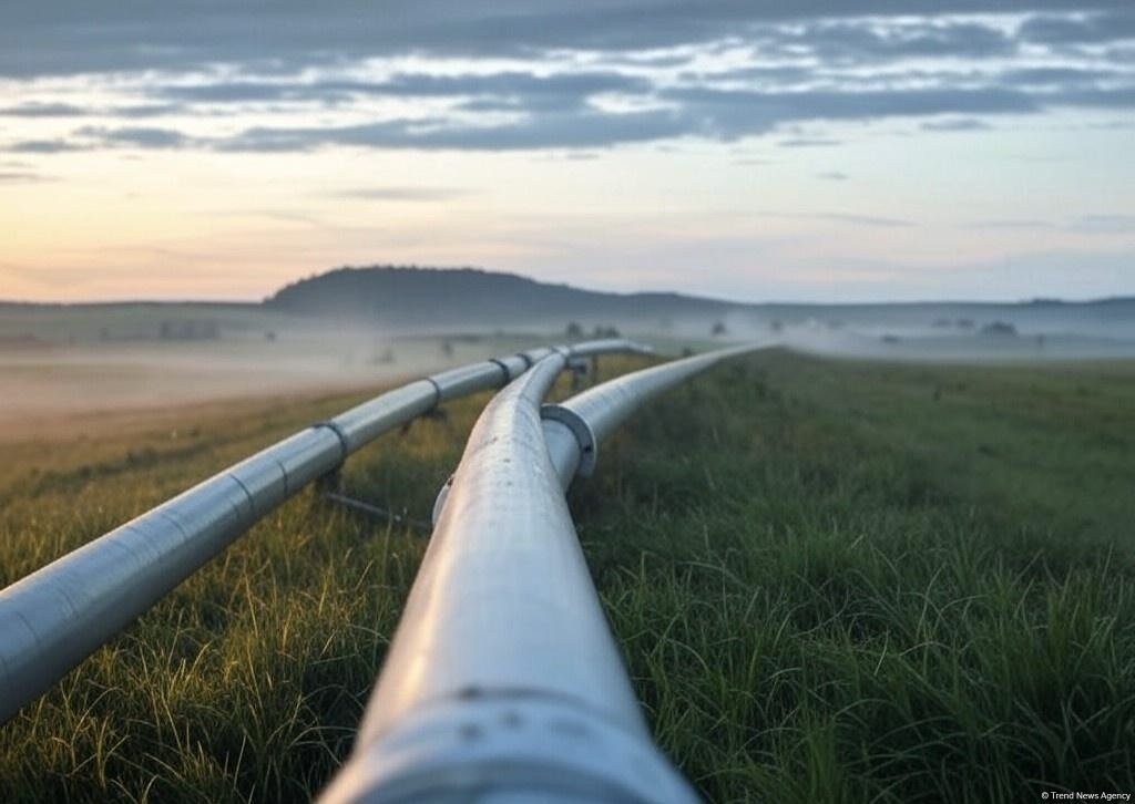 Azerbaijan’s oil export inches downward in 1H2025