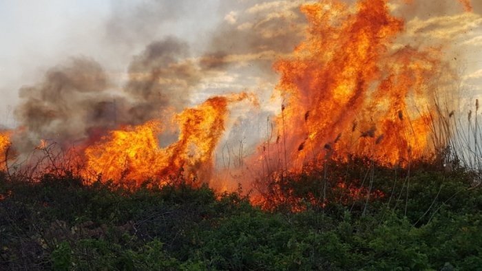Şəkidə dağlıq ərazidə yanğın oldu