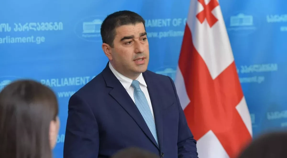 Папуашвили обвинил доноров в поддержке экстремизма